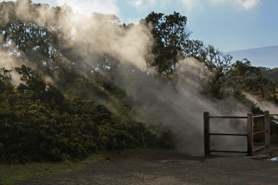 Steam Vents in Hawai'i Volcanoes National Park