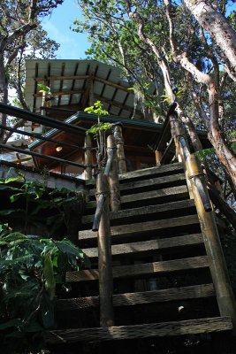 A tree house in Volcano Village