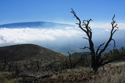 Mauna Loa