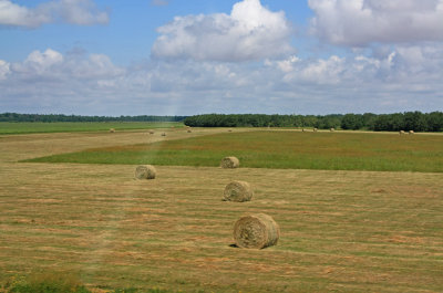 Rural Manitoba