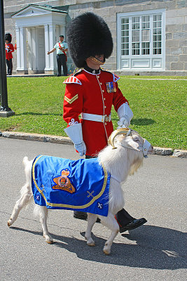Mascot of the regiment