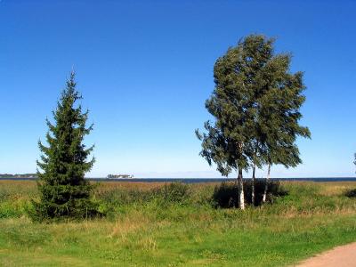 Lahamea National Park, Estonia