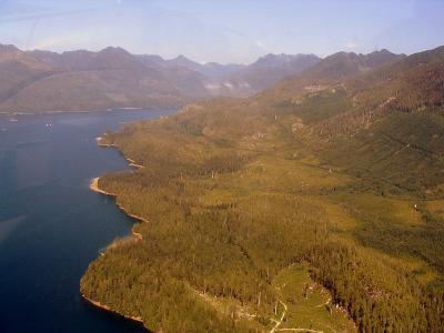 Clayoquot Sound from plane