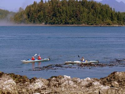 Kayaks in Clayoquot Sound