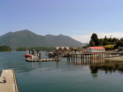 The Tofino dock