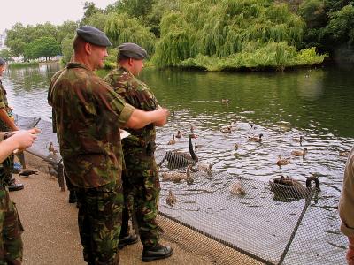 The British Army goes to the birds