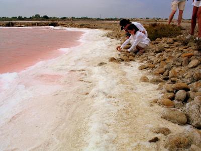 Mining for salt in the Carmargue