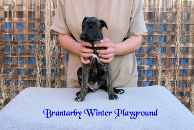 Brantarby Winter Playground