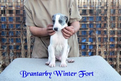 Brantarby Winter Fort
