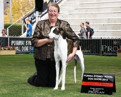 Sydney Royal 2012