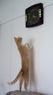 g4/05/657505/3/59180089.Sybilandtheclock1.jpg