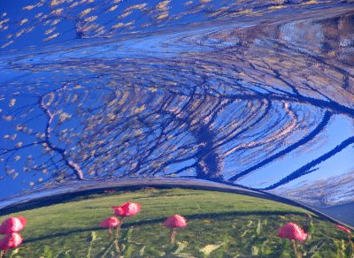 Abstract Spring