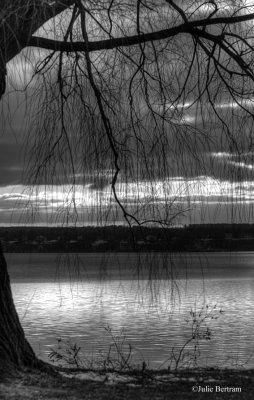 Lake Through the Willow