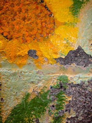 Wallflower in Despair