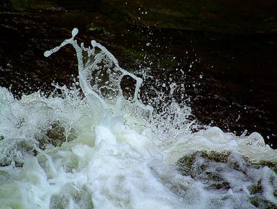 waterdance