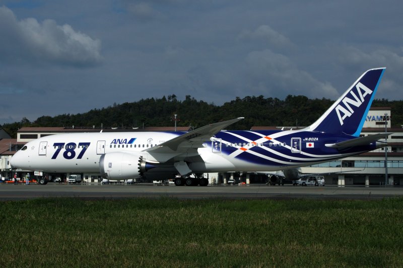 ANA BOEING 787 8 OKJ RF IMG_1488.jpg