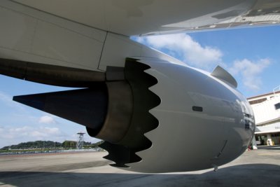 ANA BOEING 787 8 OKJ RF IMG_6390.jpg