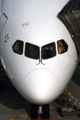 ANA BOEING 787 8 HND RF IMG_1092.jpg