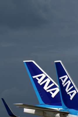 ANA TAILS FUK RF IMG_0726.jpg