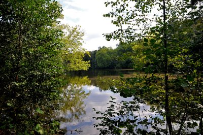 Tiergarten