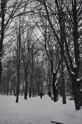 Catedrala Nasterea Dominului Parcul 