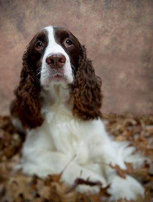 Abbey with tilt shift final pb.jpg