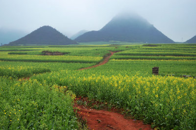 金鸡山