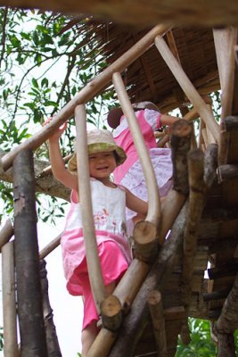 Climbing up to tree house