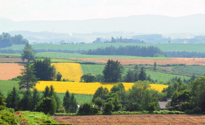 Biei roadside sceneries