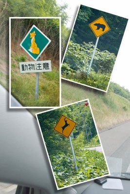 g4/05/716905/3/138315826.k1YAlSPm.jpg