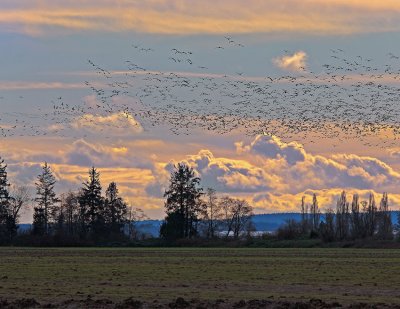 _DSC5191-2-11.jpg