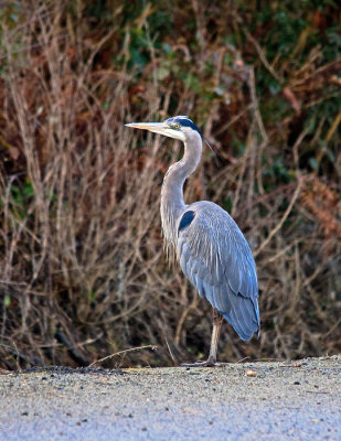 _DSC5712-2-11.jpg