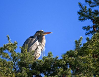 _DSC5886-2-11.jpg