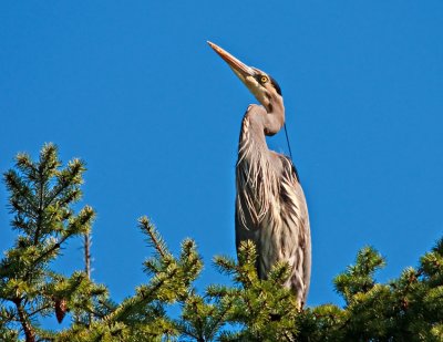 _DSC6000-2-11.jpg