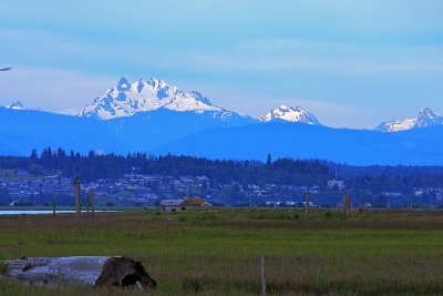 _DSC9365-2-11.jpg