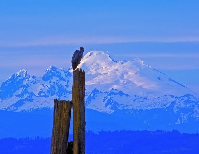 _DSC9373-2-11.jpg
