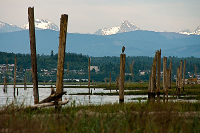 _DSC9322-2-11.jpg