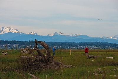 _DSC9341-2-11.jpg