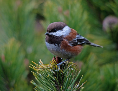 _DSC6289-2-11.jpg