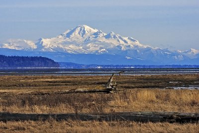 _DSC8503-2-12.jpg
