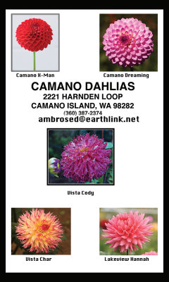 2008 new varieties.jpg