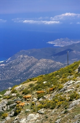 g4/05/781905/3/85887367.K5tNgNCq.jpg