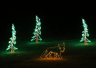 GardenFest of Lights - Lewis Ginter Botanical Gardens