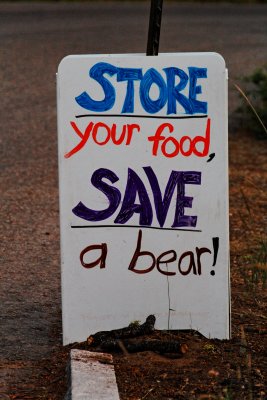 Save a bear