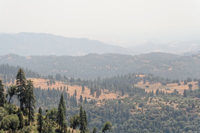 Sequoia NP and Kings Canyon
