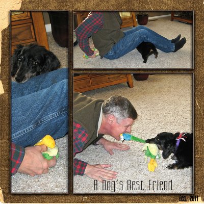 Dog's Best Friend