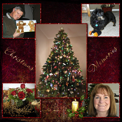 2011 Christmas Memories
