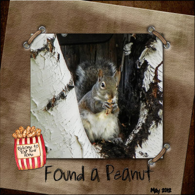 Found a Peanut
