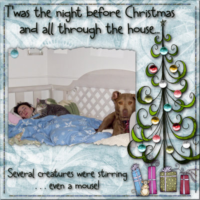 T'Was the Night Before Christmas