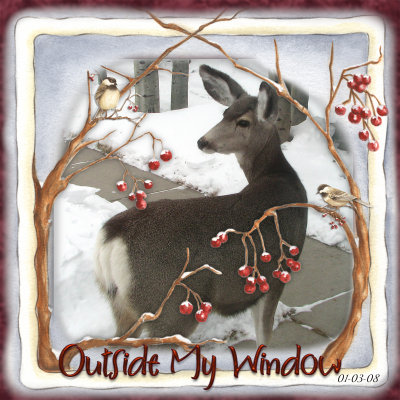 Outside My Window